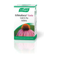 A.Vogel - Echinaforce Forte Cold & Flu Tablets (40 tabs) pack front