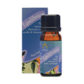Absolute Aromas Equilibrium Essential Oil Blend (10ml) pack front