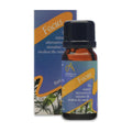 Absolute Aromas Focus Essential Oil Blend (10ml) pack front