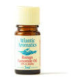 Atlantic Aromatics Roman Camomile Oil 16% in Jojoba (5ml) pack front