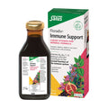 Salus Floradix Immune Support Formula 250ml