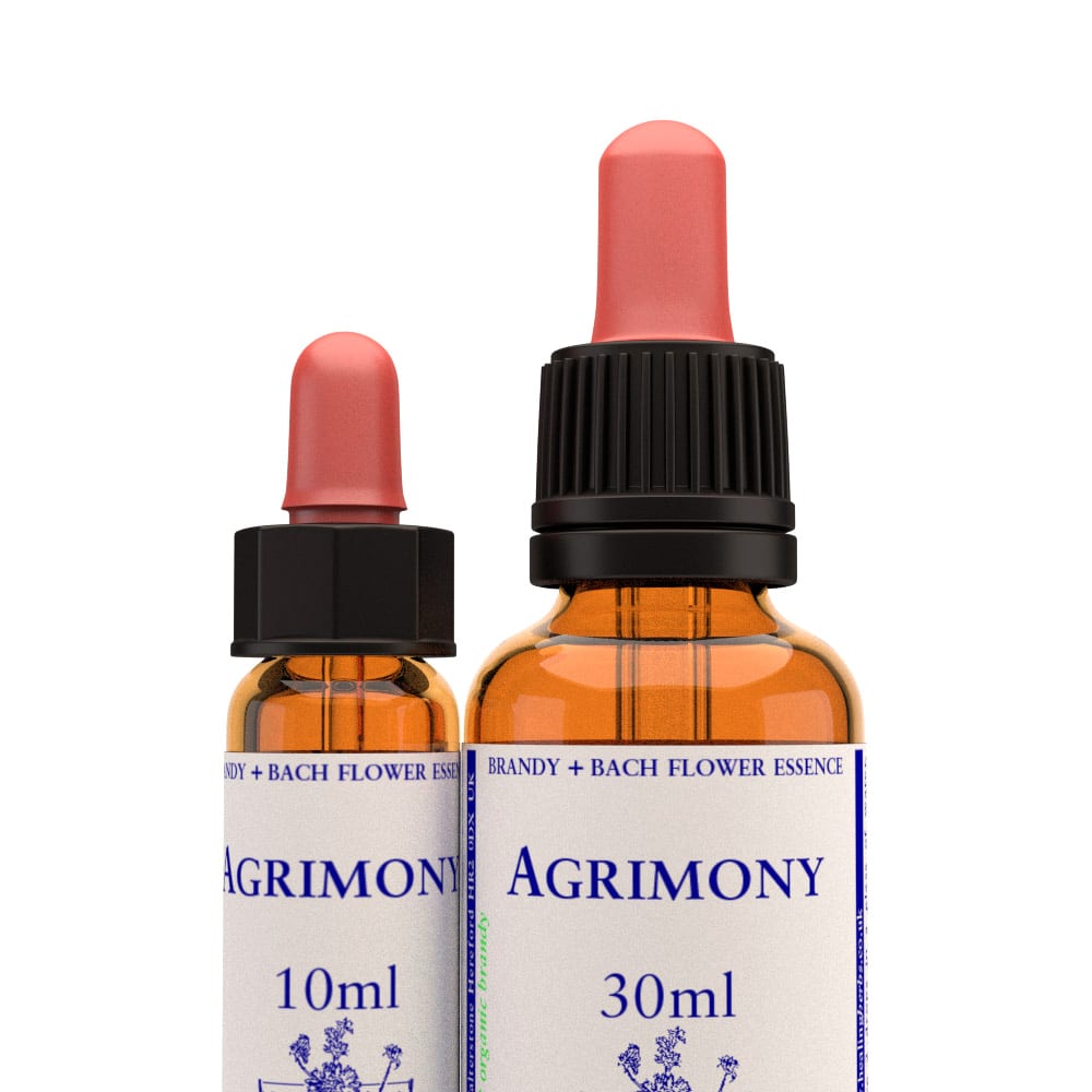 Healing Herbs — Agrimony Flower Essence (10ml)