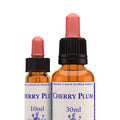 Healing Herbs — Cherry Plum Flower Essence (10ml)