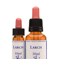 Healing Herbs — Larch Flower Essence (10ml)