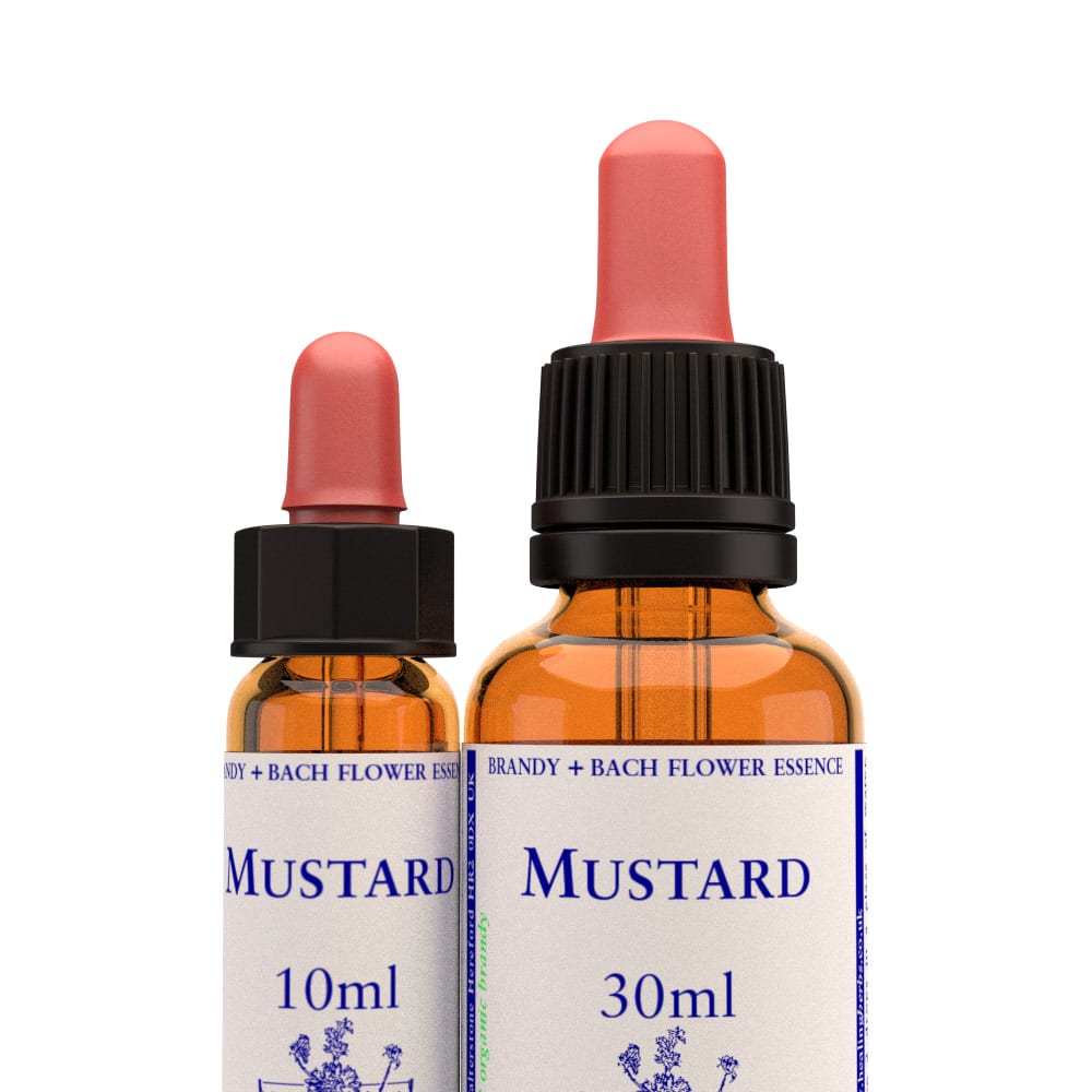 Healing Herbs — Mustard Flower Essence (10ml)