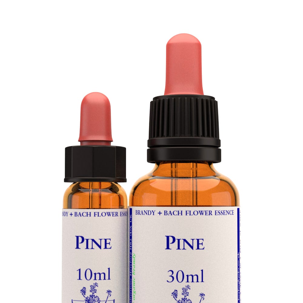 Healing Herbs — Pine Flower Essence (10ml)