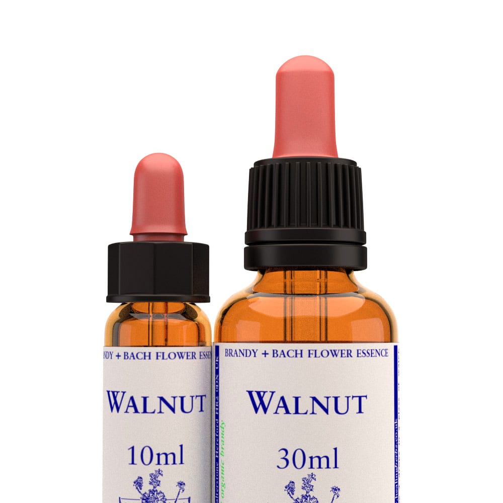 Healing Herbs — Walnut Flower Essence (10ml)