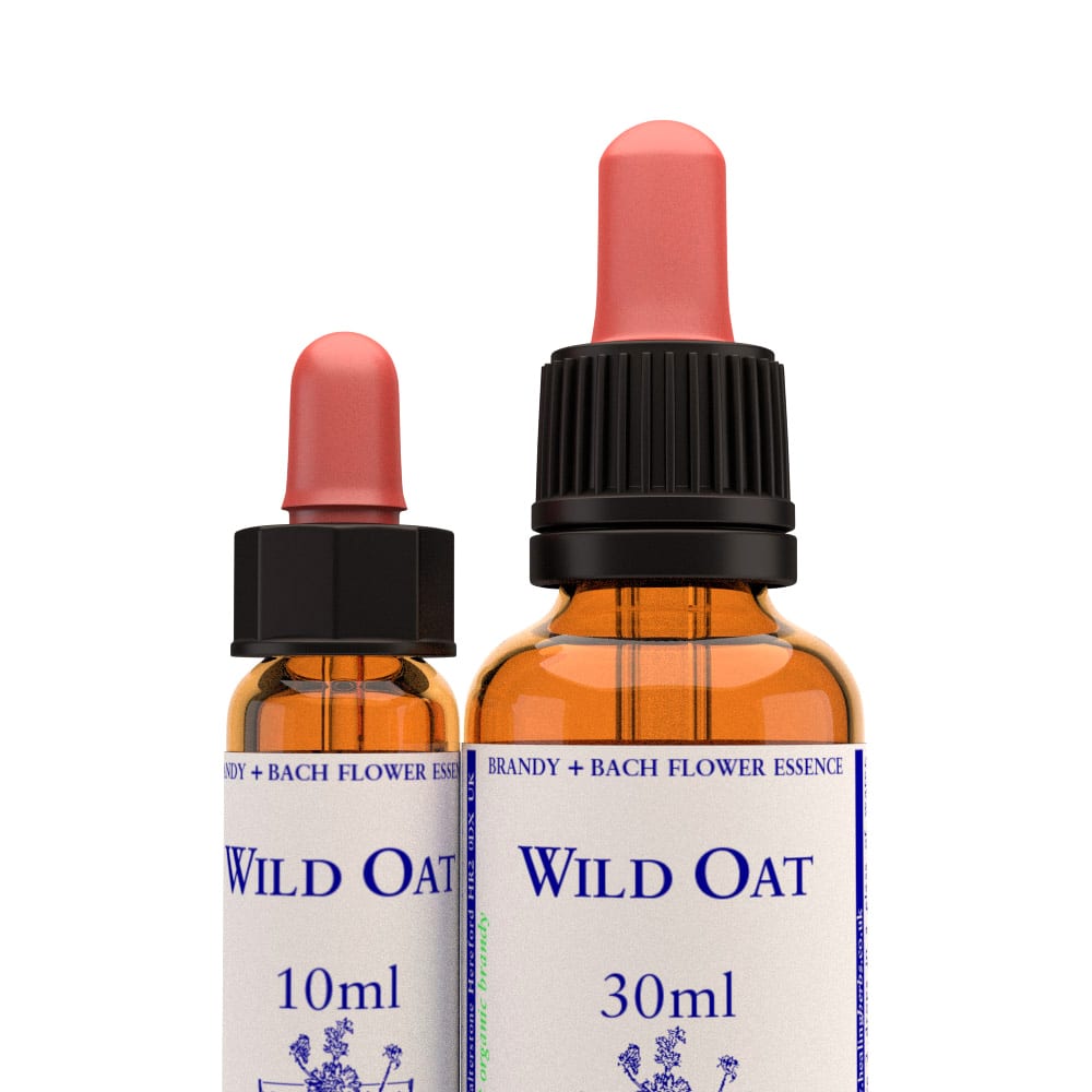 Healing Herbs — Wild Oat Flower Essence (10ml)