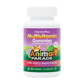 Nature's Plus Animal Parade Multivitamin Gummies (90 gummies) pack