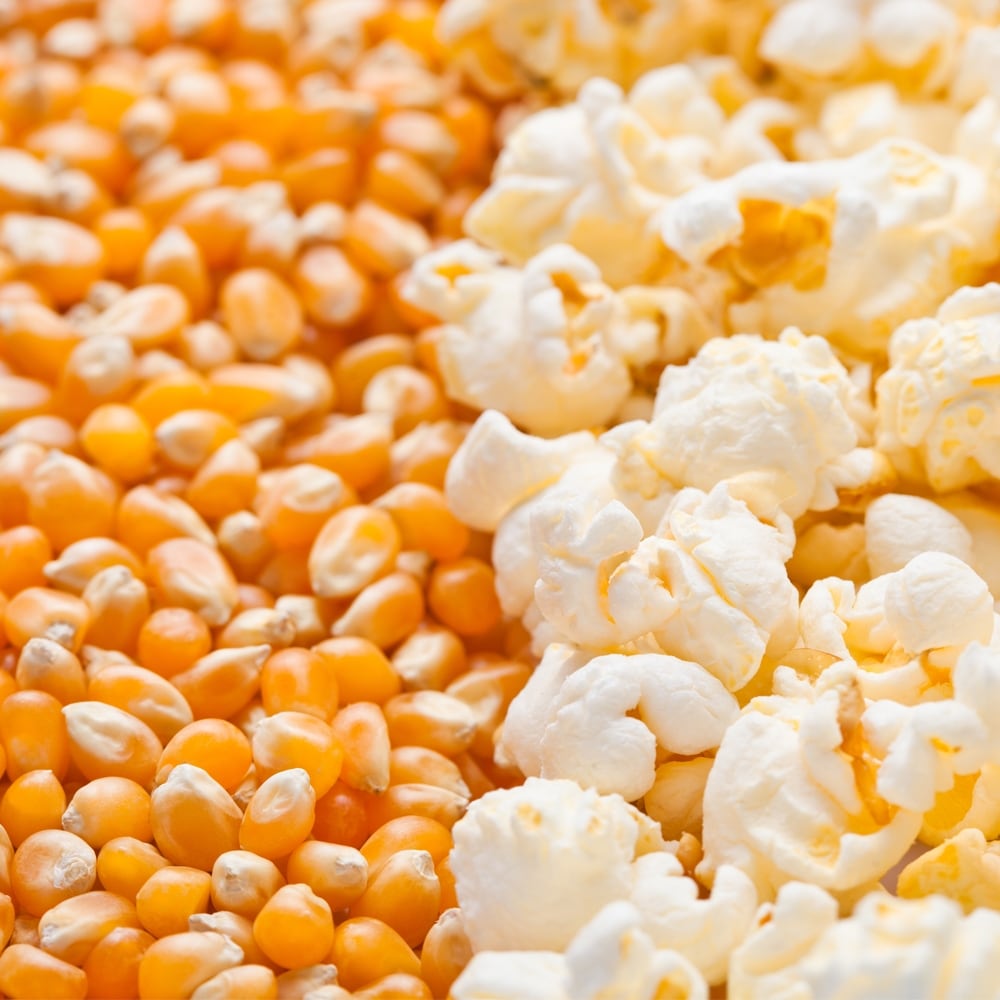 True Natural Goodness Organic Popcorn Kernels (500g)