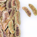 True Natural Goodness Senna Pods (50g)