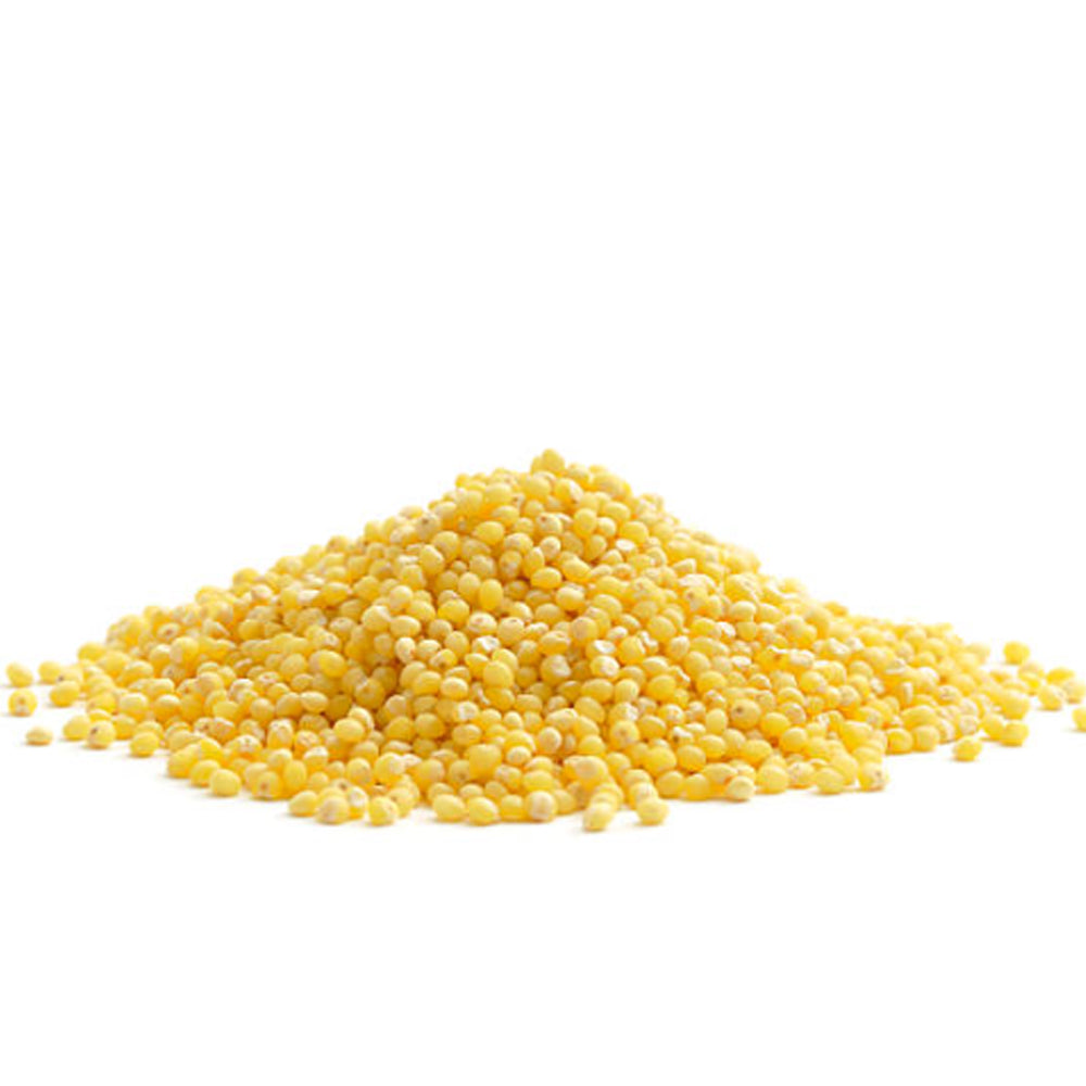 True Natural Goodness Organic Millet Grain (500g)