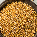 True Natural Goodness Organic Yellow Mustard Seeds (25g)