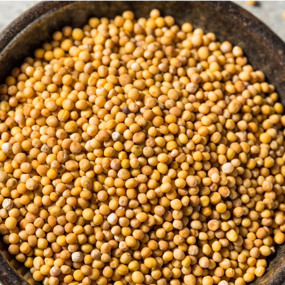 True Natural Goodness Organic Yellow Mustard Seeds (25g)
